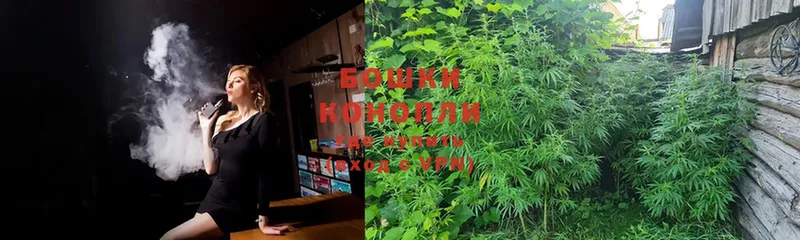 купить  сайты  Заводоуковск  Шишки марихуана OG Kush 